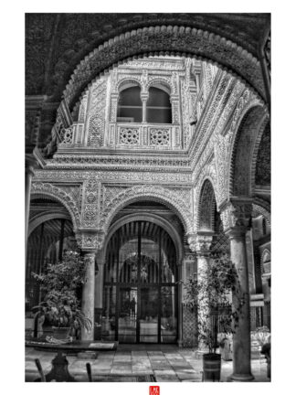 FOTOGRAFÍA F CADIZ 9