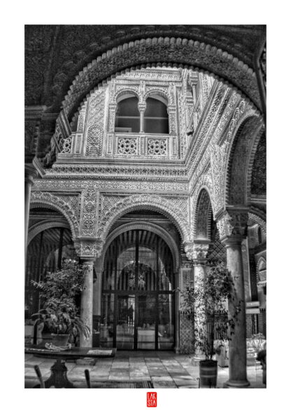 FOTOGRAFÍA F CADIZ 9