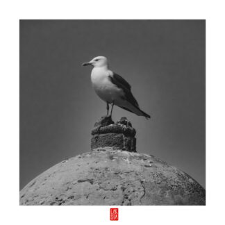 FOTOGRAFÍA F CADIZ 13