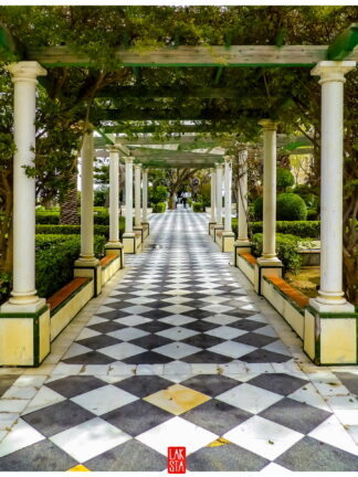 FOTOGRAFÍA F CADIZ 16