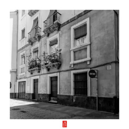 FOTOGRAFÍA F CADIZ 26