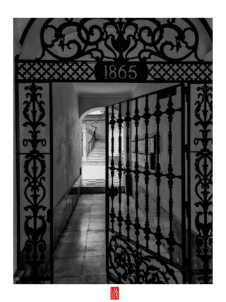 FOTOGRAFÍA F CADIZ 29