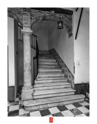 FOTOGRAFÍA F CADIZ 31