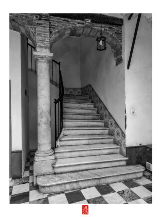 FOTOGRAFÍA F CADIZ 31
