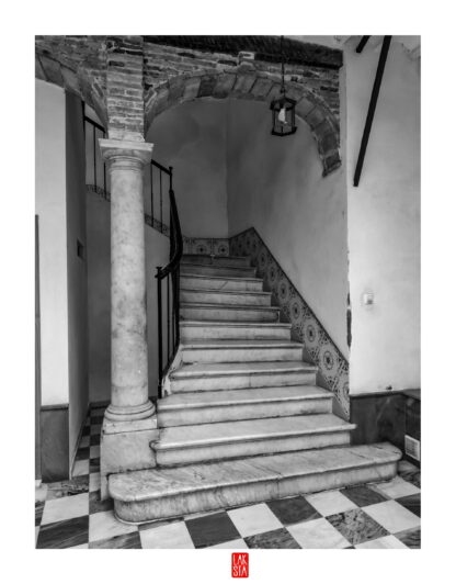 FOTOGRAFÍA F CADIZ 31
