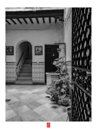 FOTOGRAFÍA F CADIZ 32