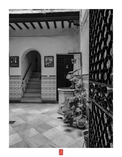 FOTOGRAFÍA F CADIZ 32