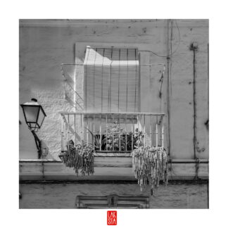 FOTOGRAFÍA F CADIZ 35
