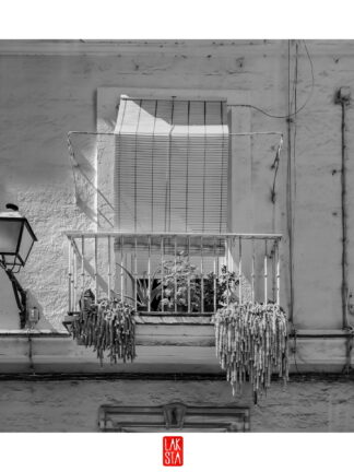 FOTOGRAFÍA F CADIZ 35
