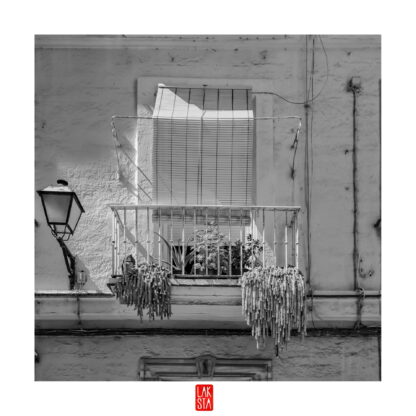 FOTOGRAFÍA F CADIZ 35