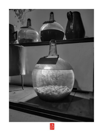 FOTOGRAFÍA F PTO 4