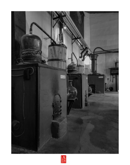 FOTOGRAFÍA F PTO 10
