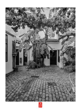 FOTOGRAFÍA F PTO 20