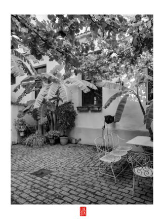 FOTOGRAFÍA F PTO 21