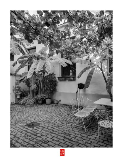 FOTOGRAFÍA F PTO 21