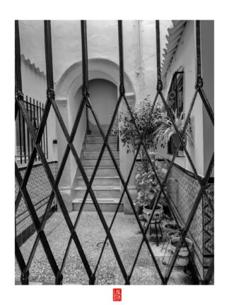 FOTOGRAFÍA F PTO 26