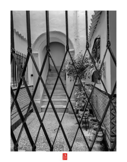 FOTOGRAFÍA F PTO 26