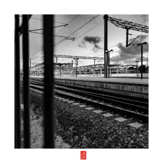 FOTOGRAFÍA F PTO 28