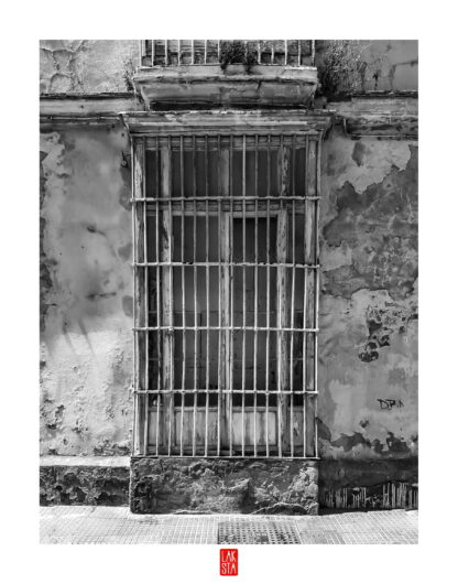 FOTOGRAFÍA F PTO 37